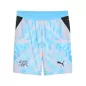 Preview: Schweiz Torwart WM Shorts Blau - 2026
